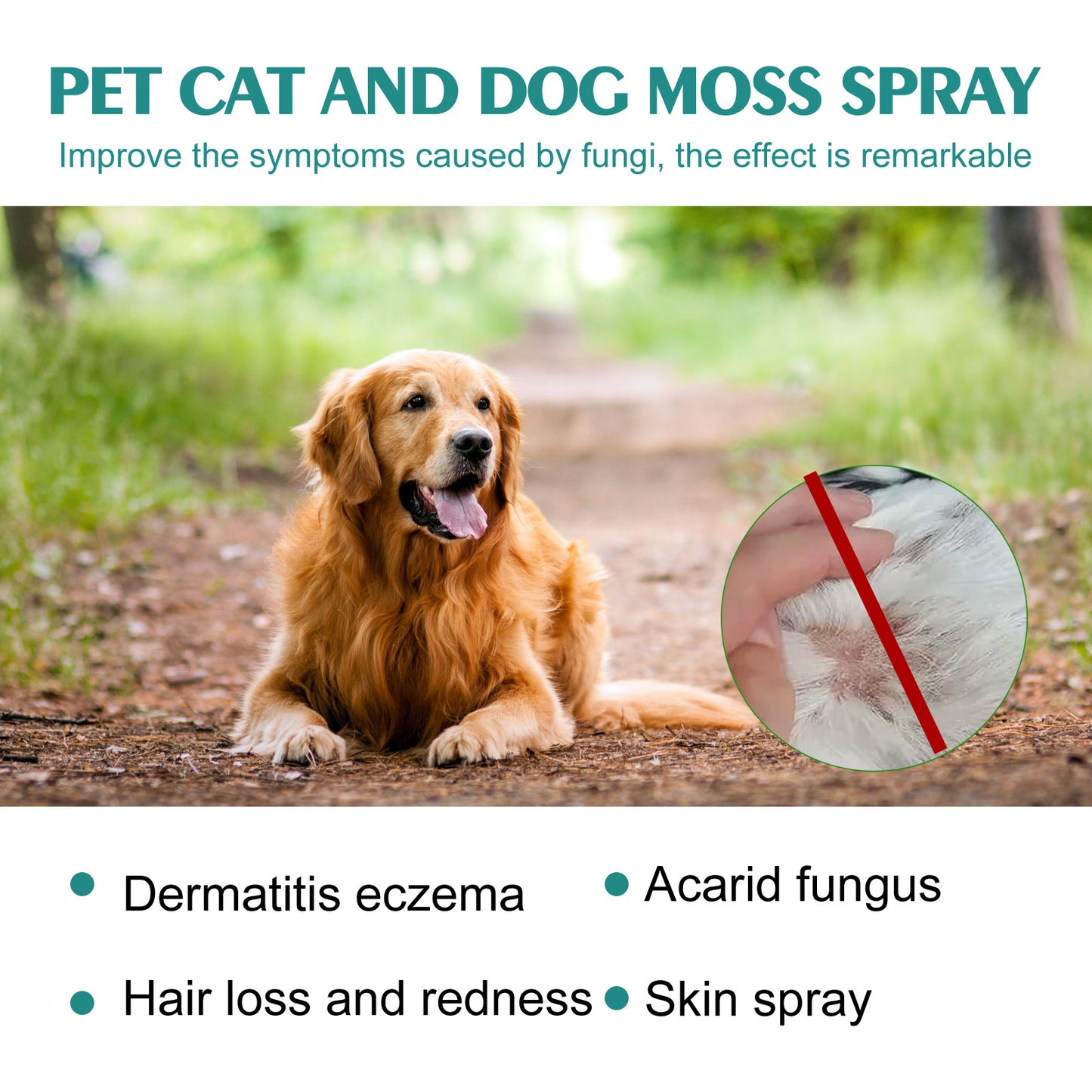 Pet Skin Relief Spray – Fast Itch & Mite Treatment for Cats & Dogs!.