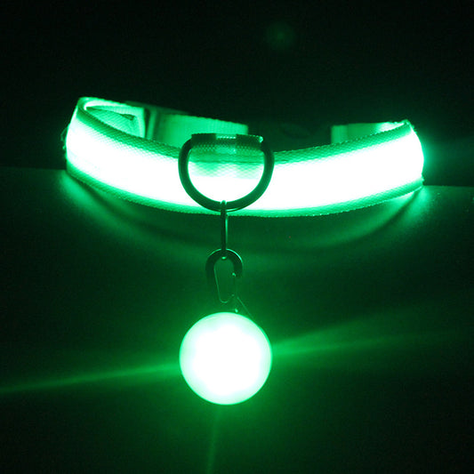 Luminous Fashion Dog Collar – Stylish & Safe for Night Walks!.