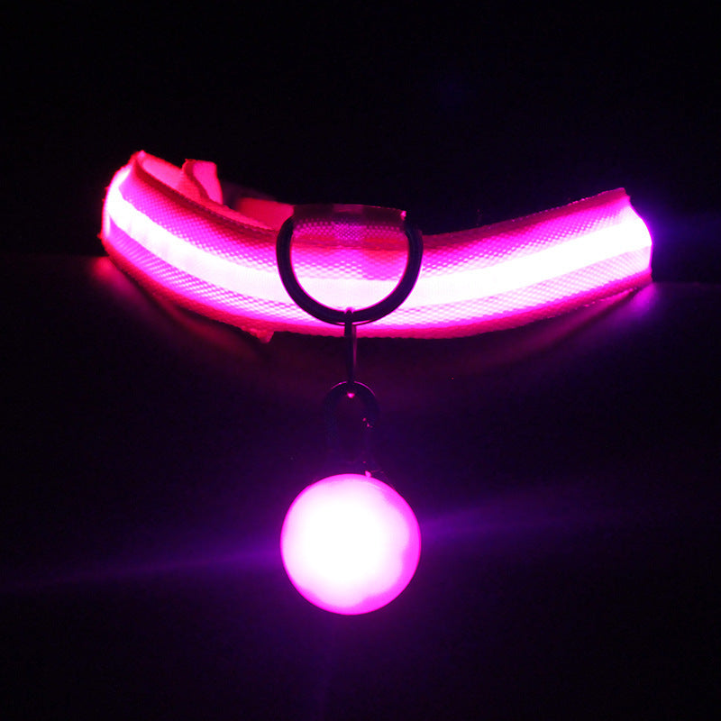 Luminous Fashion Dog Collar – Stylish & Safe for Night Walks!.