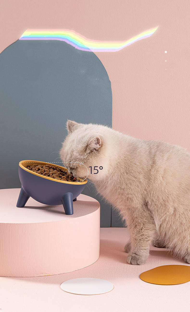 Elevated Cat & Dog Bowl with Stand – Stylish & Ergonomic Pet Feeder!.