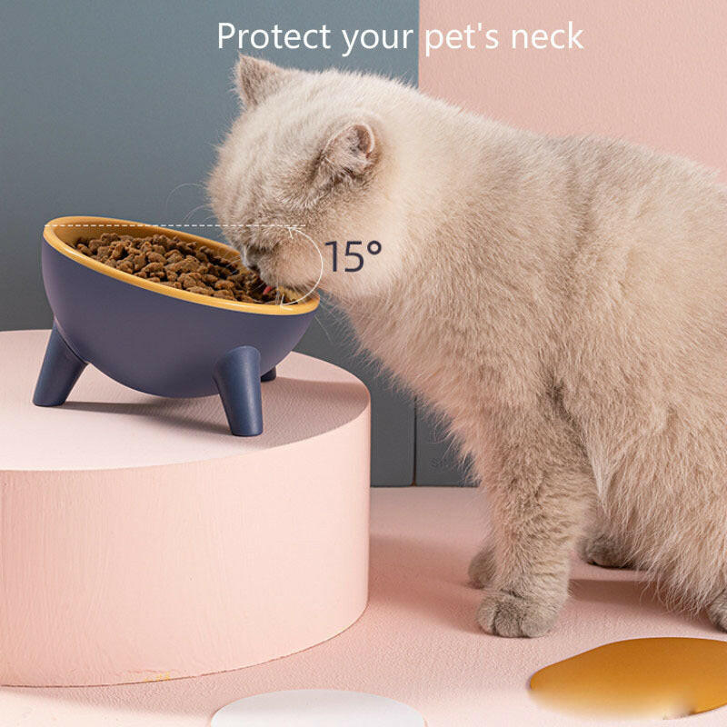 Elevated Cat & Dog Bowl with Stand – Stylish & Ergonomic Pet Feeder!.