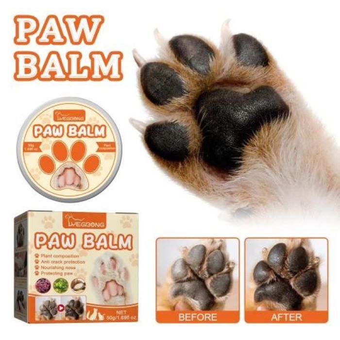 Natural Paw Balm for Dogs & Cats – Soothes & Protects Dry Paw Pads.