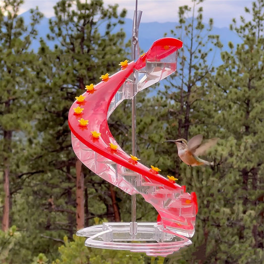 Climbing Ladder Spiral Hummingbird Feeder – A Perfect Blend of Beauty & Functionality!.