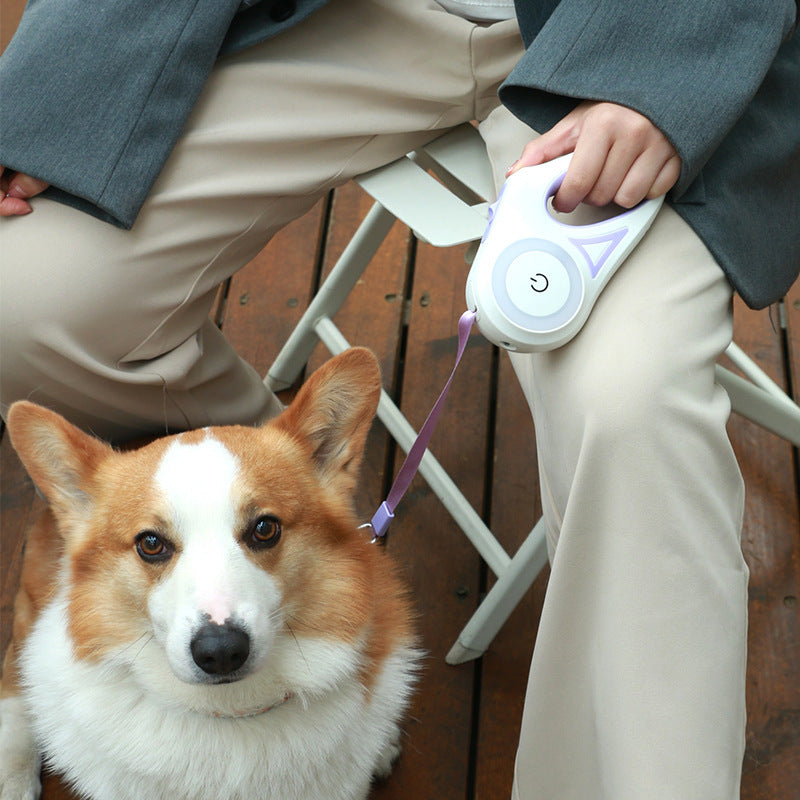 Retractable Dog Leash with Spotlight & Collar – Ultimate Pet Walking Gear!.