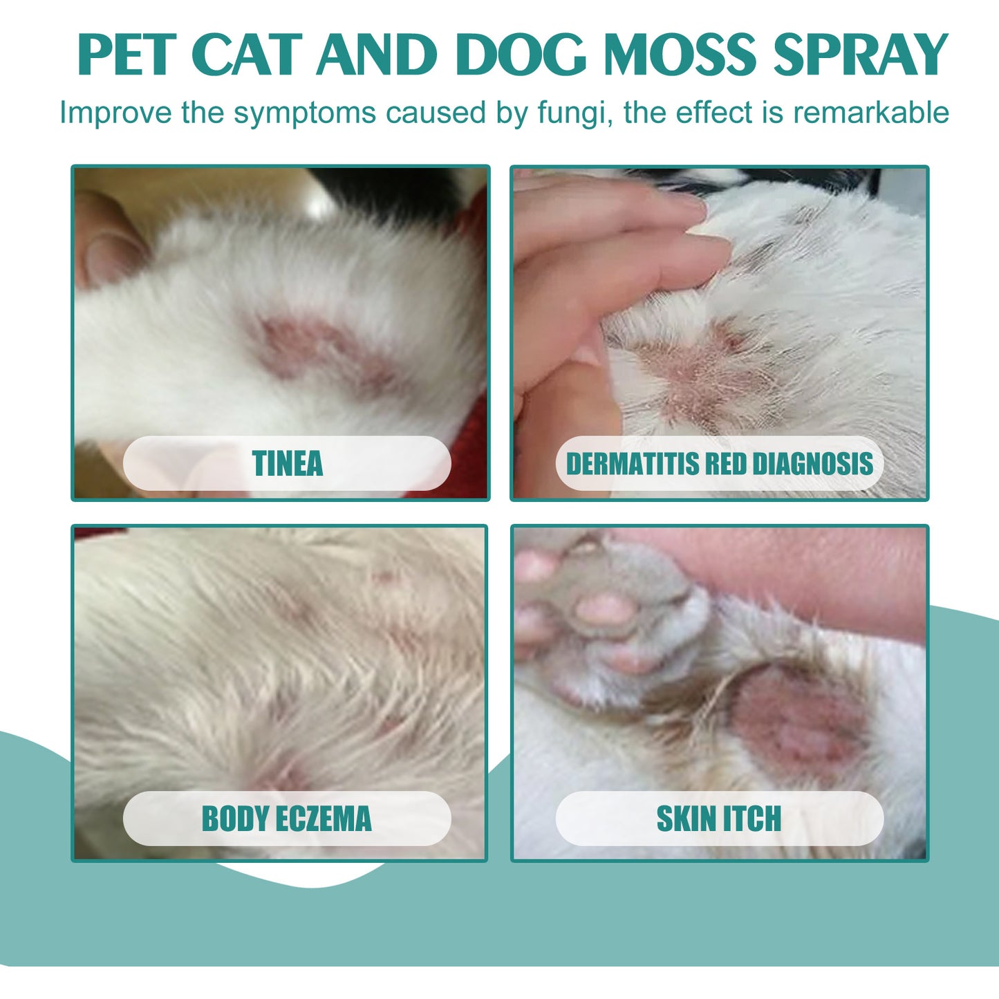 Pet Skin Relief Spray – Fast Itch & Mite Treatment for Cats & Dogs!.