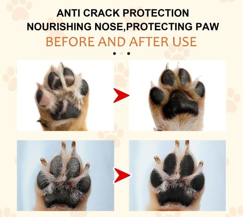 Natural Paw Balm for Dogs & Cats – Soothes & Protects Dry Paw Pads.