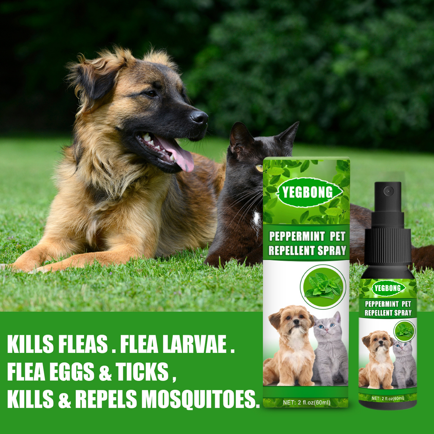 Peppermint Pet Mite Spray – Gentle Care for Cats & Dogs.