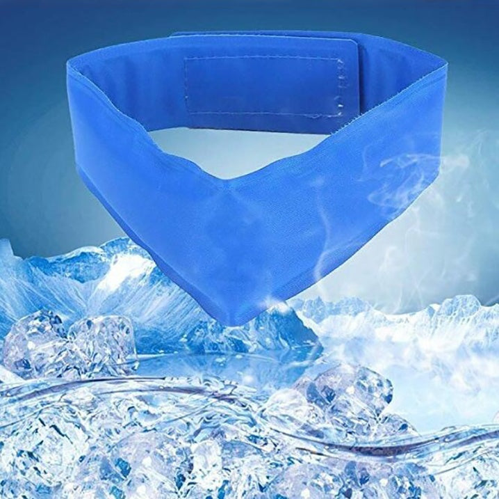 Summer Pet Cooling Bib – Keep Your Pet Cool & Comfortable!.